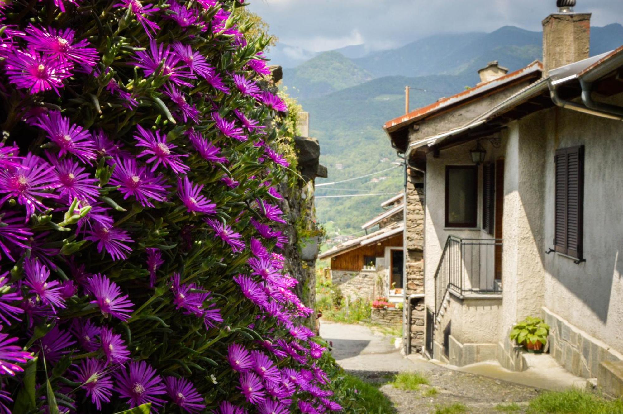 Chalet In Pietra E Legno Con Caminetto Inverso Pinasca Εξωτερικό φωτογραφία