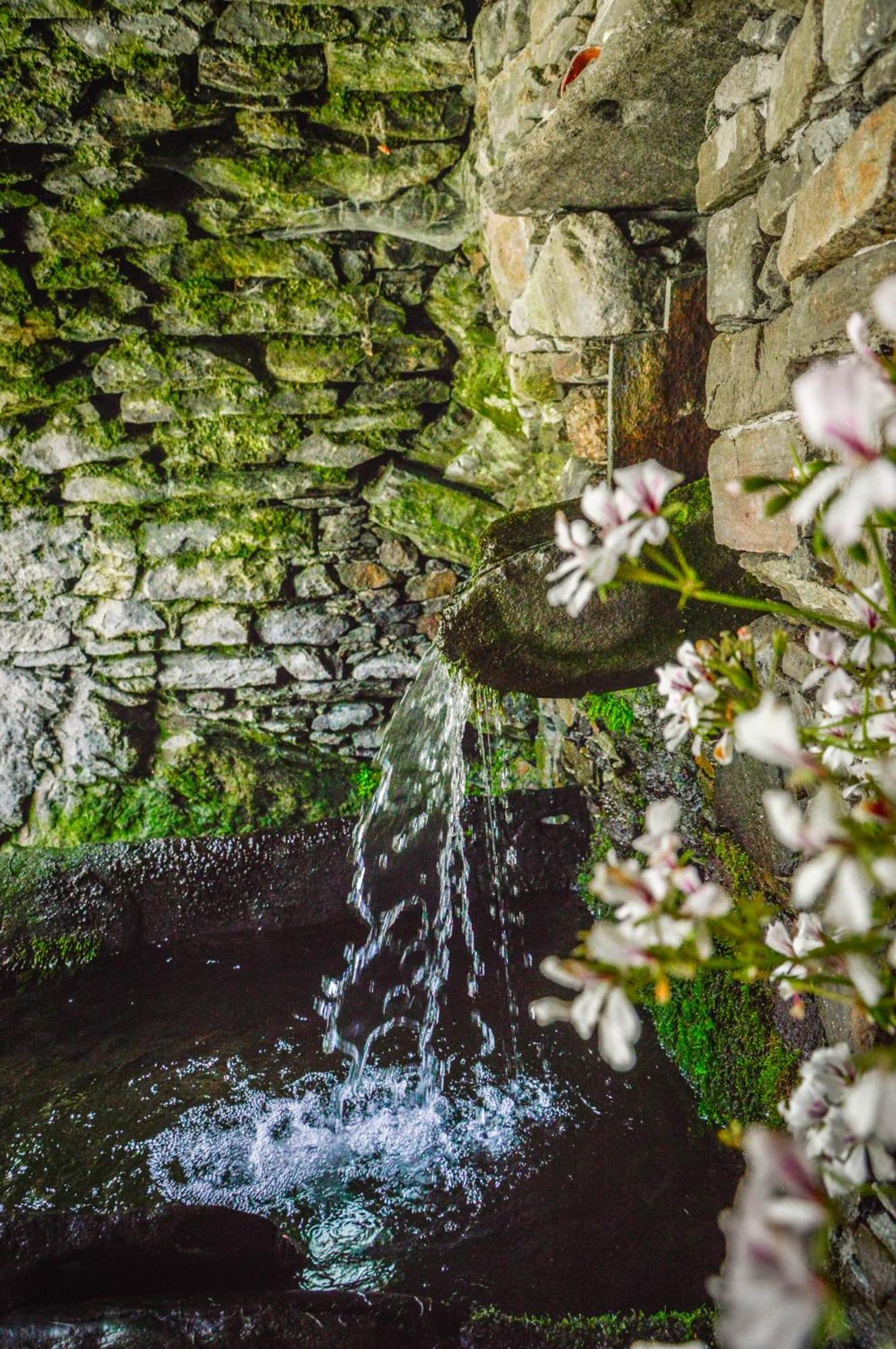 Chalet In Pietra E Legno Con Caminetto Inverso Pinasca Εξωτερικό φωτογραφία